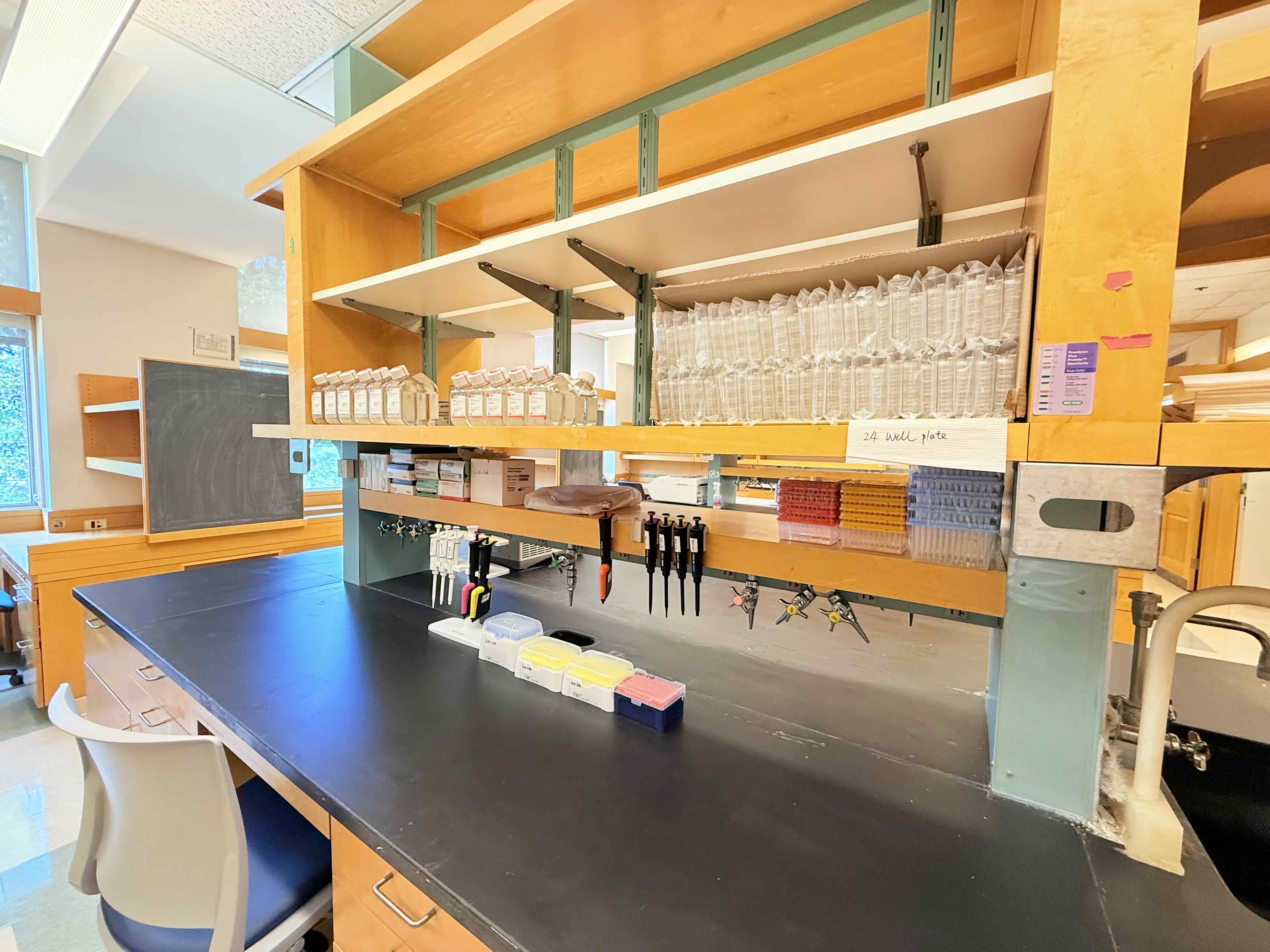 Lyu Lab laboratory bench
